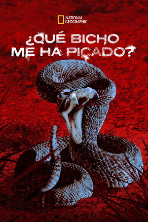 Támad a vadon poszter