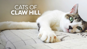 Cats of Claw Hill kép