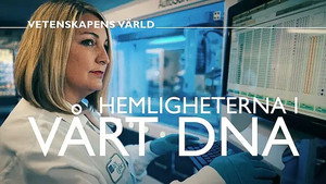 Vetenskapens värld 47. évad Ep.13 13. epizód