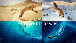 A Year on Planet Earth kép