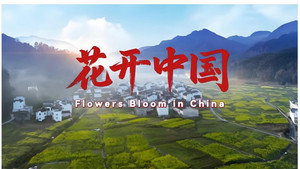 花开中国 kép
