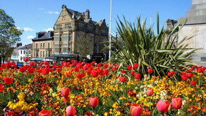 Britain in Bloom kép