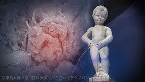 NHKスペシャル 2017. évad Ep.1001 1001. epizód