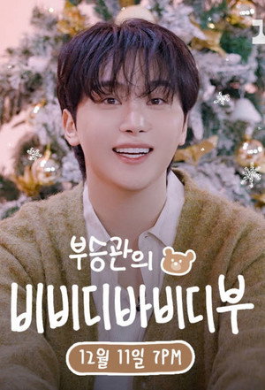 부승관의 비비디바비디부