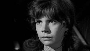 The Fugitive 2. évad Ep.22 22. epizód