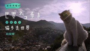 岩合光昭の世界ネコ歩き 1. évad Ep.68 68. epizód