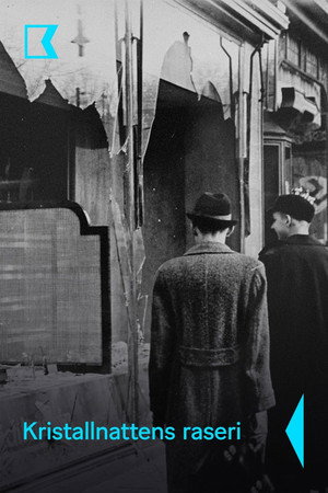 La Nuit de cristal : Les pogroms de novembre poszter