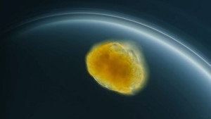 Journey to the Microcosmos 4. évad Ep.16 16. epizód