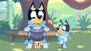 Bluey 2. évad Ep.13 Rossz gyerek