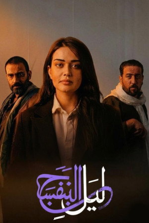 ليل البنفسج poszter
