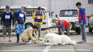 1박 2일 3. évad Ep.344 344. epizód