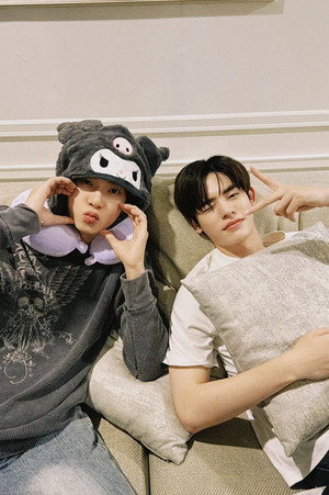 ด้วงกับเธอ poszter