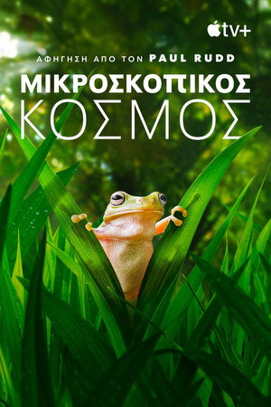 Apró világ poszter