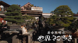 岩合光昭の世界ネコ歩き 1. évad Ep.156 156. epizód