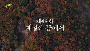 유 퀴즈 온 더 블럭 1. évad Ep.44 44. epizód