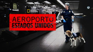 Drogfogások a repülőtéren kép