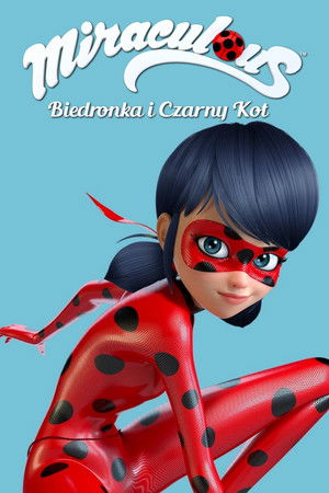 Miraculous Katicabogár és Fekete Macska kalandjai poszter