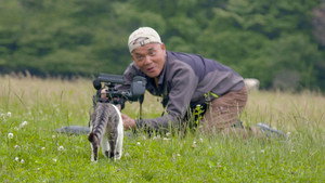 A Cat's-Eye View of Japan Speciális epizódok Ep.3 3. epizód