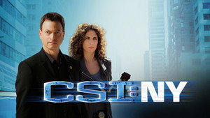 CSI: New York-i helyszínelők kép