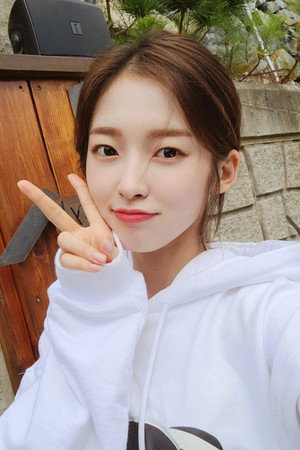 아린 profil kép