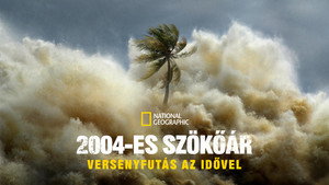 2004-es szökőár: Versenyfutás az idővel kép