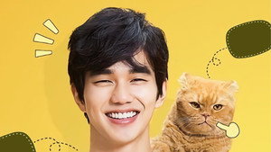 상상고양이 kép