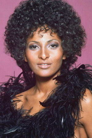 Pam Grier profil kép