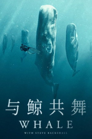 Whale with Steve Backshall poszter