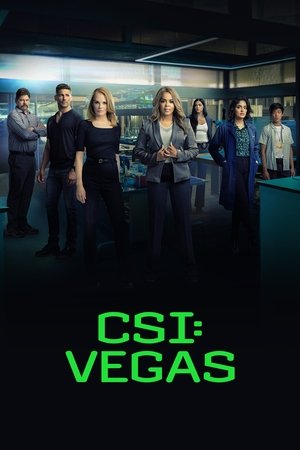 CSI: Las Vegas-i helyszínelők poszter