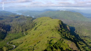 Destination Wild: India kép