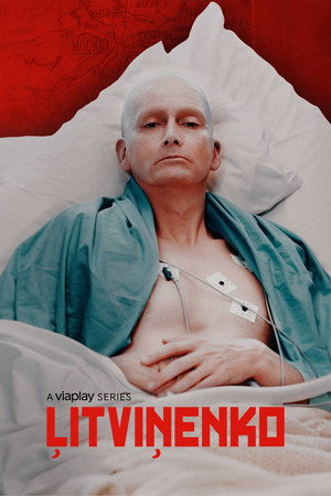 Litvinenko poszter
