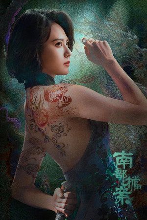 南部档案 poszter