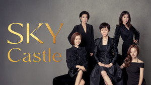 SKY Castle kép