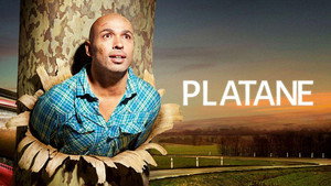 Platane kép