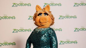 The Muppets 1. évad Ep.12 12. epizód