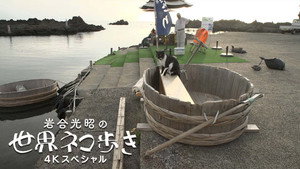 岩合光昭の世界ネコ歩き 1. évad Ep.144 144. epizód