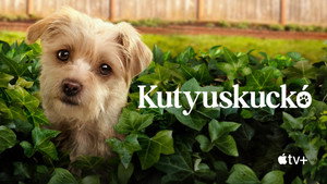 Kutyuskuckó kép
