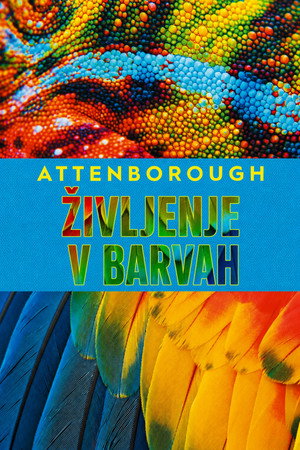 David Attenborough: Az élet színei poszter