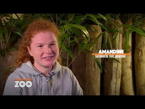 Une saison au zoo 5. évad Ep.30 30. epizód