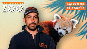 Une saison au zoo 8. évad Ep.16 16. epizód