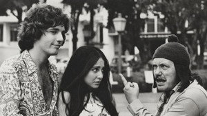 Camomila e Bem-Me-Quer kép