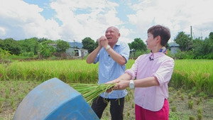 阿爺廚房 5. évad Ep.13 13. epizód