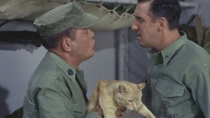 Gomer Pyle, U.S.M.C. 2. évad Ep.7 7. epizód