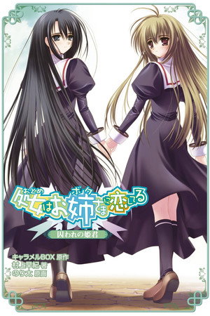 乙女はお姉さまに恋してる poszter