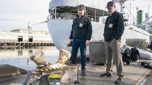 NCIS: Tengerészeti helyszínelők 20. évad Ep.13 13. epizód