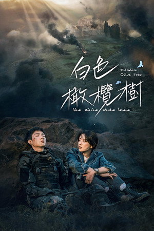 白色橄榄树 poszter