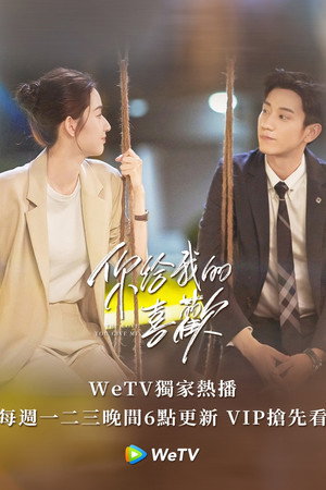 你给我的喜欢 poszter
