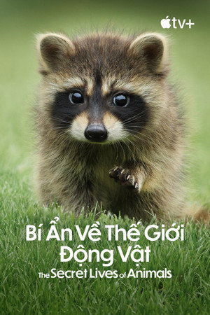 Az állatok titkos élete poszter