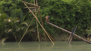 Survivor – A sziget 6. évad - Generációk harca Ep.35 35. epizód