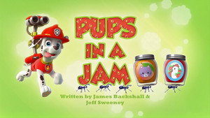 PAW Patrol 3. évad Ep.18 18. epizód